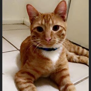 Meet your Posher, Kaley